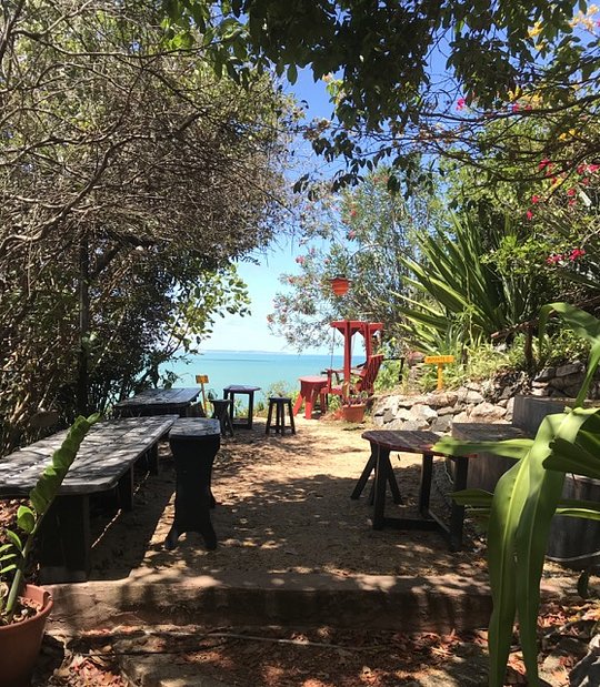 JUNGLE LIVING