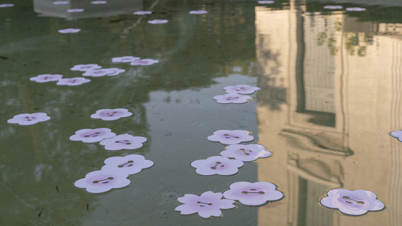 Detalle - Flores de ciruelo y cerezo - 2021