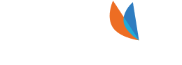 Logo Freedom white wordmark orange wings