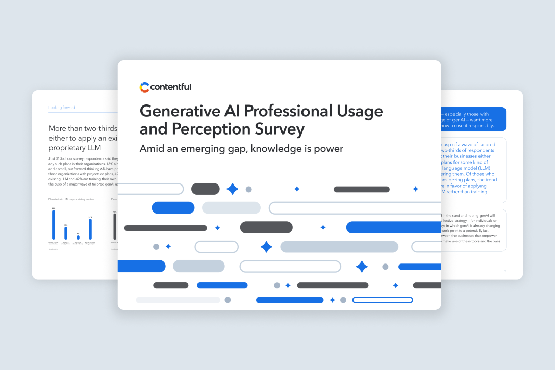 Contentful Generative AI Professional Usage and Perception Survey