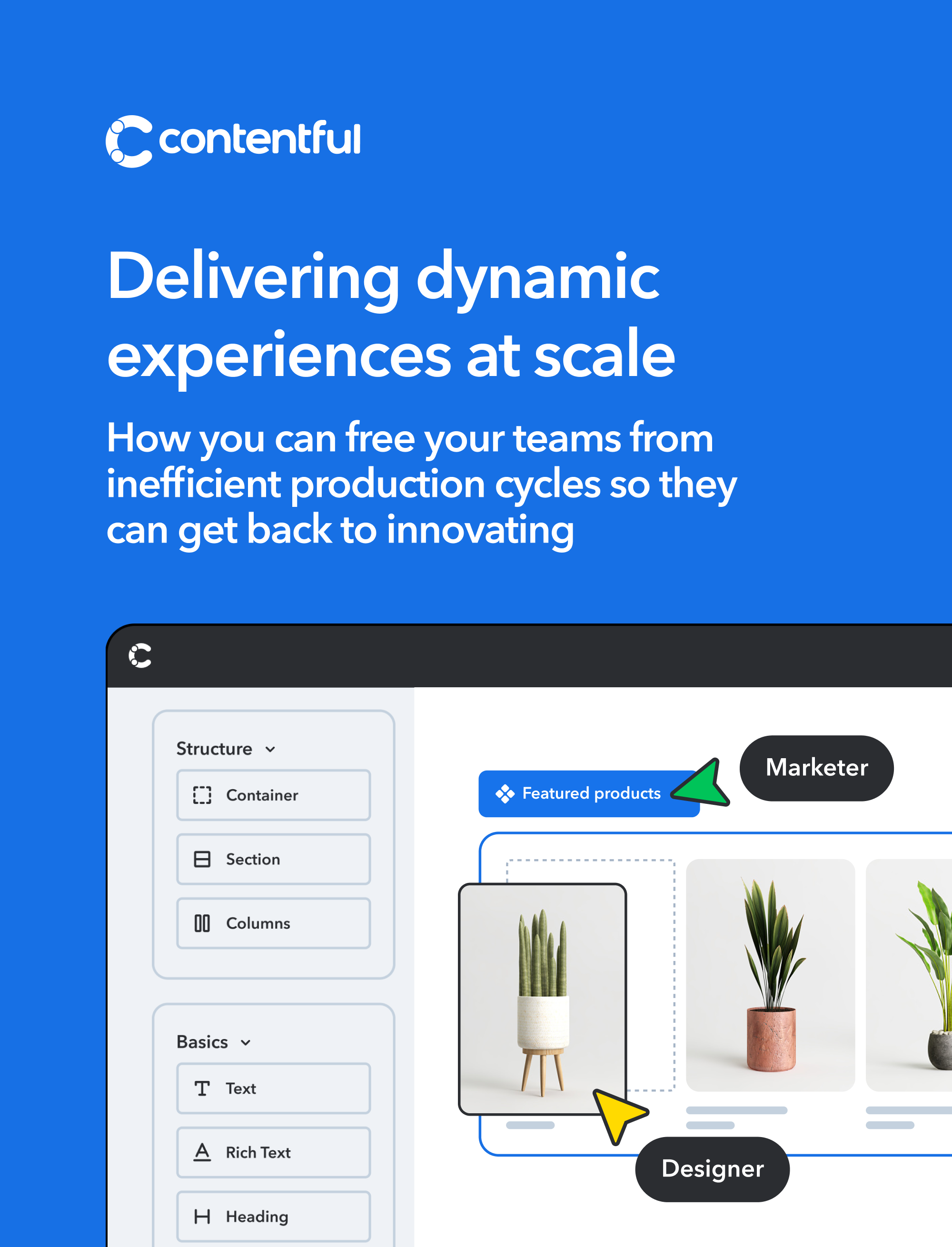 Delivering Dynamic Experiences at Scale Ebook Cover