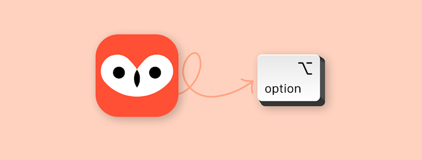 An owl logo leads to an "option" key symbol.