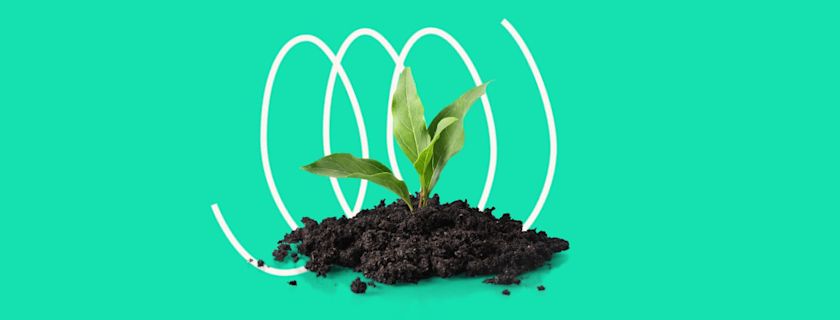 A small green plant sprouts from dark soil against a vibrant turquoise background with three large, looping white lines behind it.