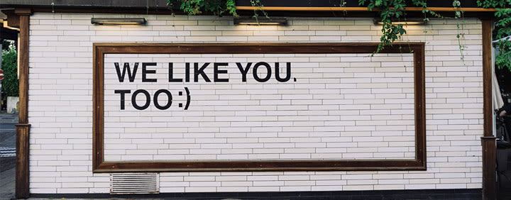 A white brick wall with a wooden frame displaying the text "WE LIKE YOU. TOO :)". Green vines hang above the frame, and lights illuminate the wall.
