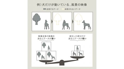 犬だけが動いている、風景の映像