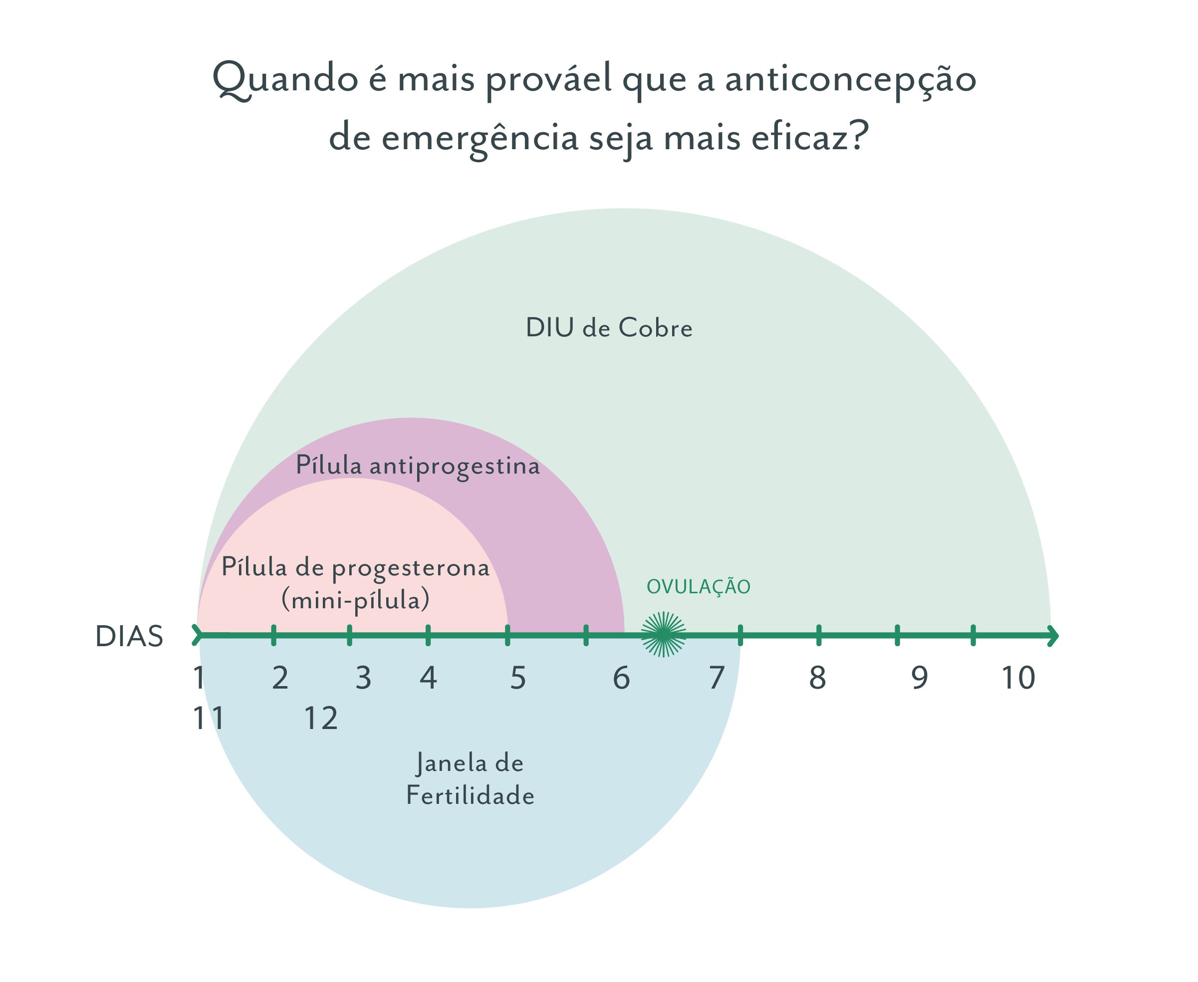 Contracepcao De Emergencia Como Funciona E Os Melhores Metodos