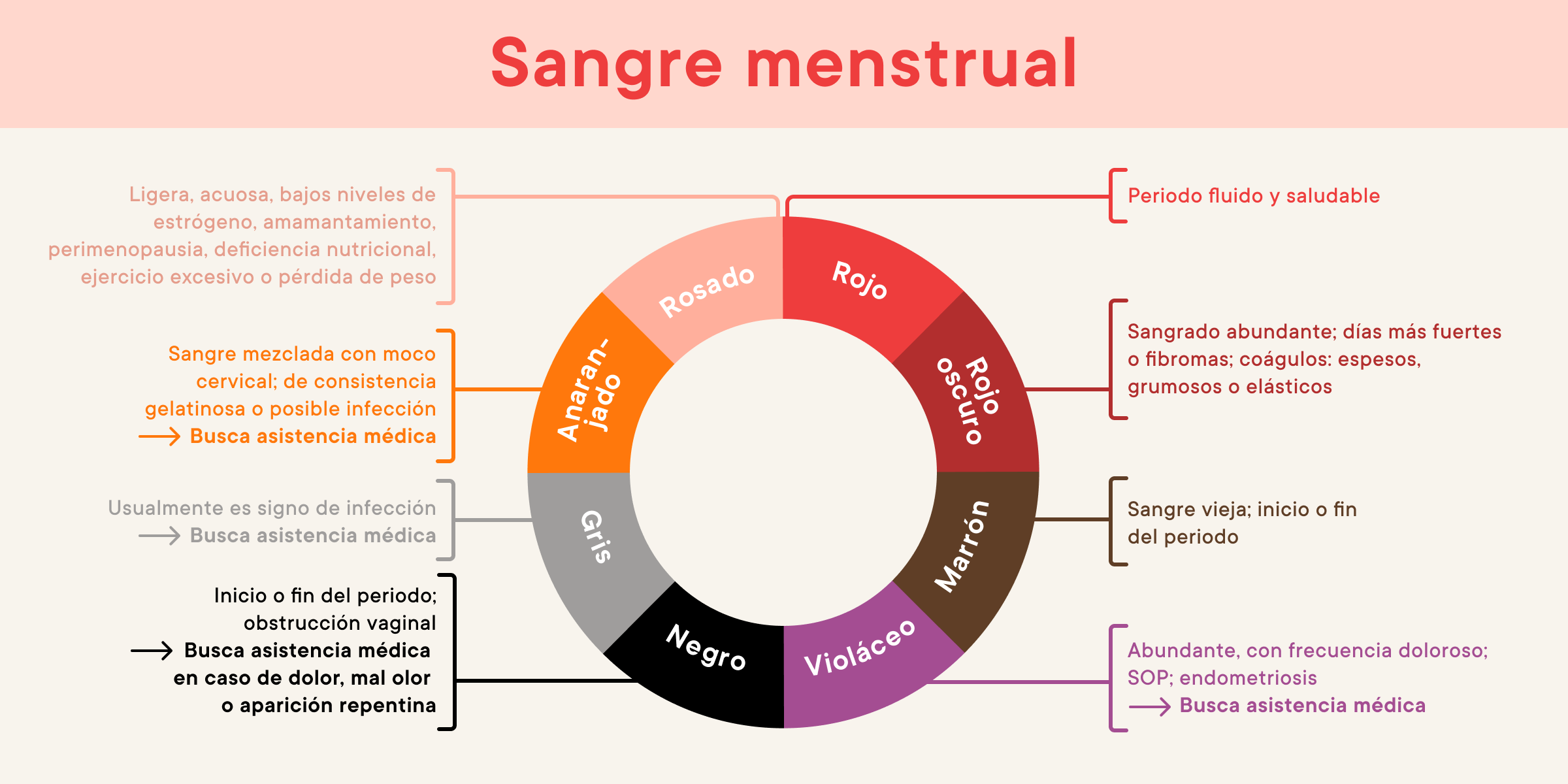 ¿Qué Son Los Coágulos De Sangre Durante La Menstruación?