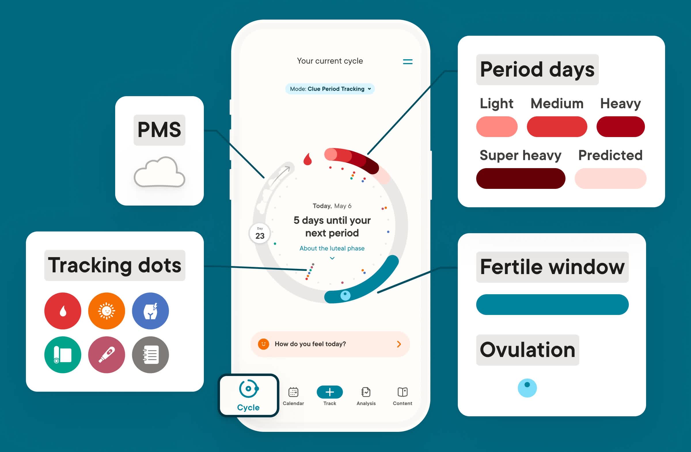 Clue plus cycle view interface with key