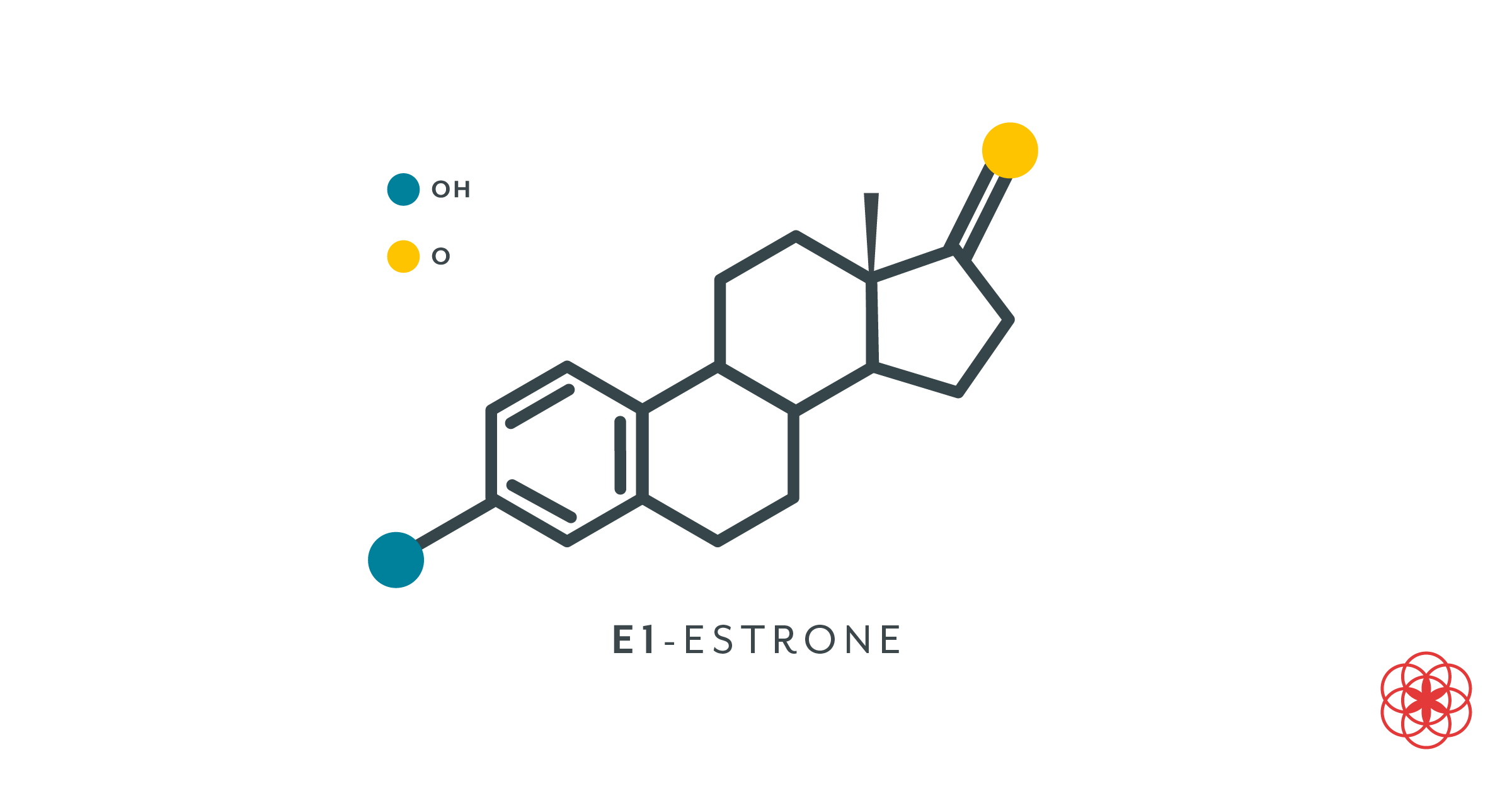 Estrogen Progesterone Ratio Chart