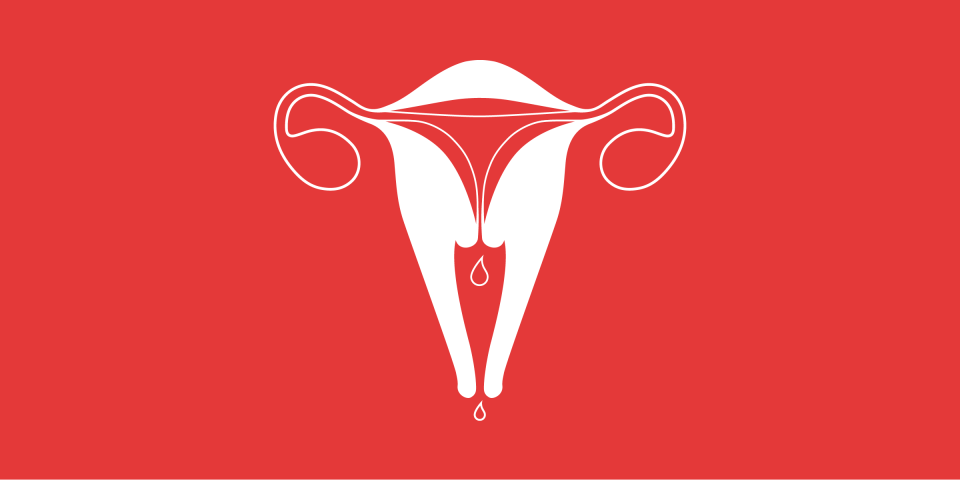 uterus illustration