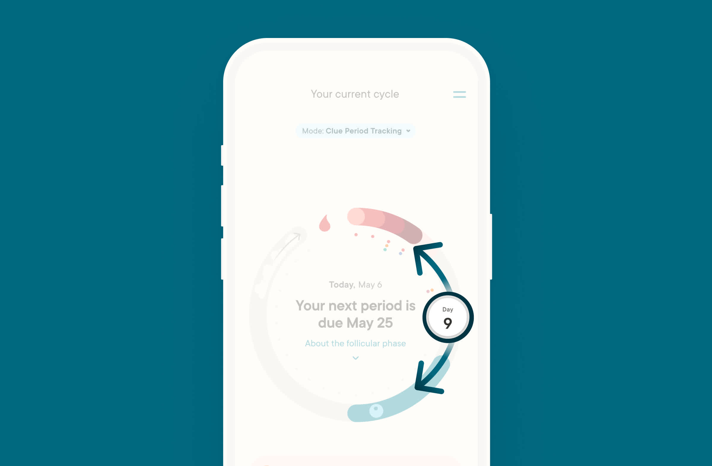Clue app cycle view navigation