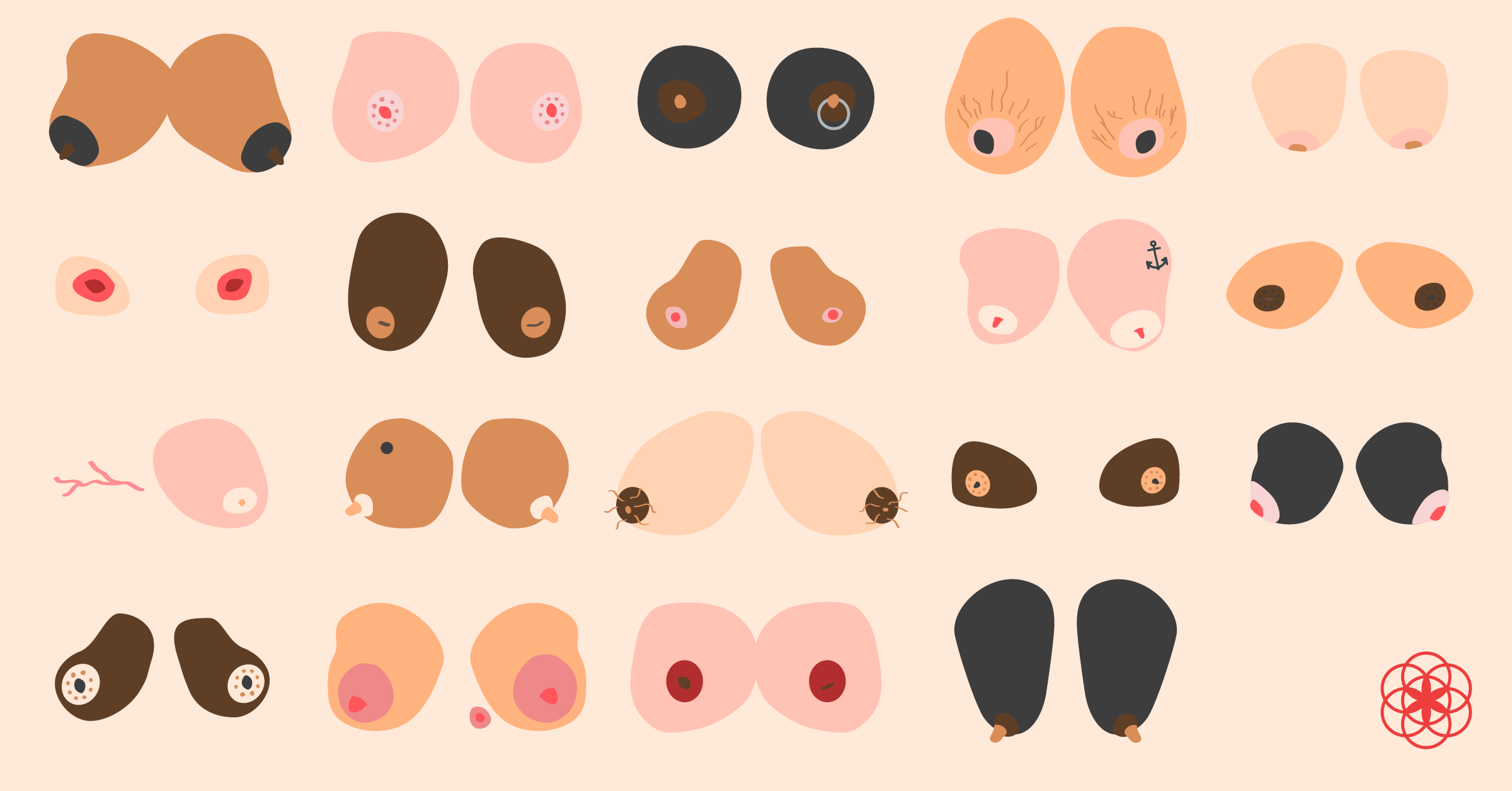 Different types of boobs and nipples