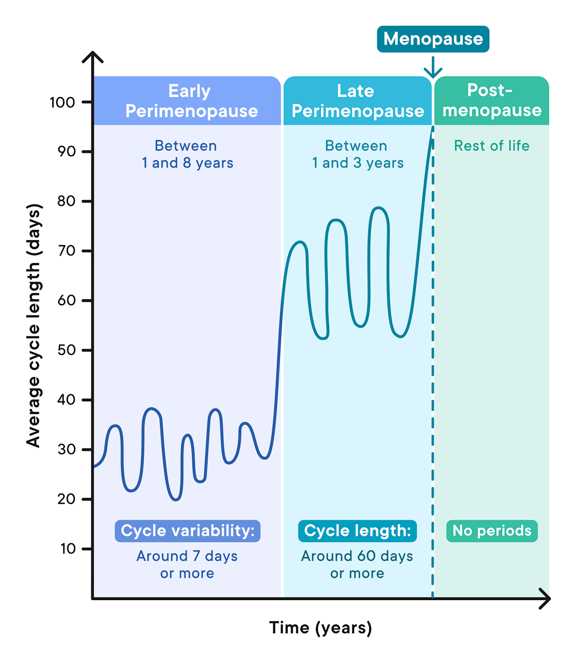 Alles über die Perimenopause