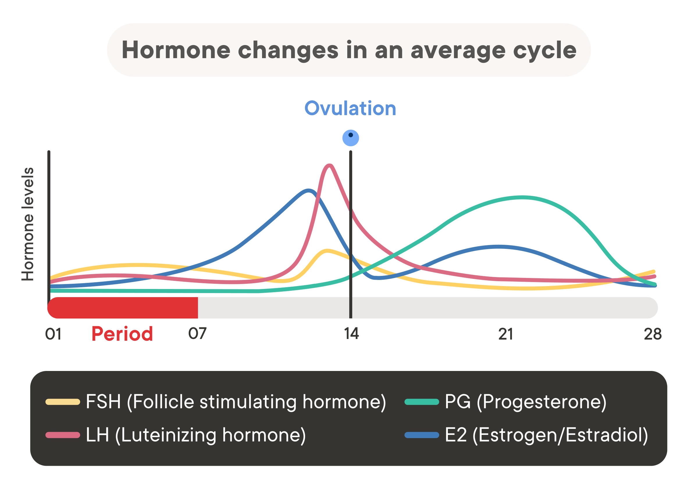 Chart showing changing hormone levels during a cycle including fluctuating estrogen levels