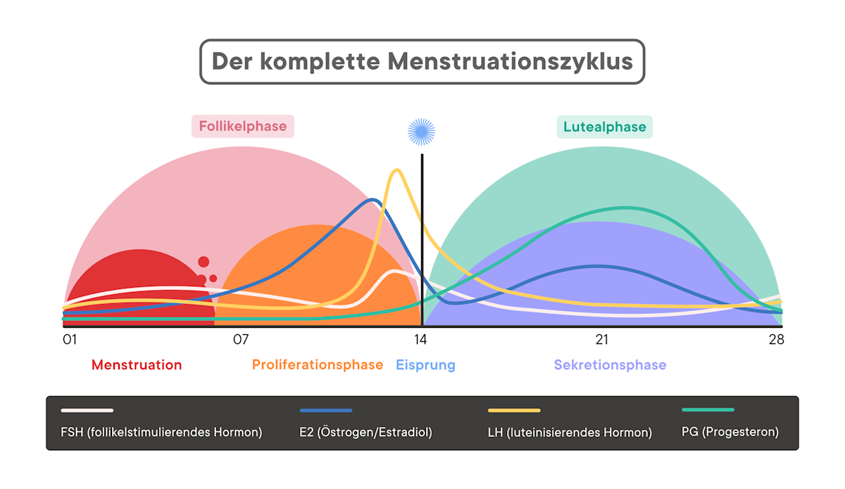Hormonelle Kopfschmerzen oder menstruelle Migräne: welche Art hast du?