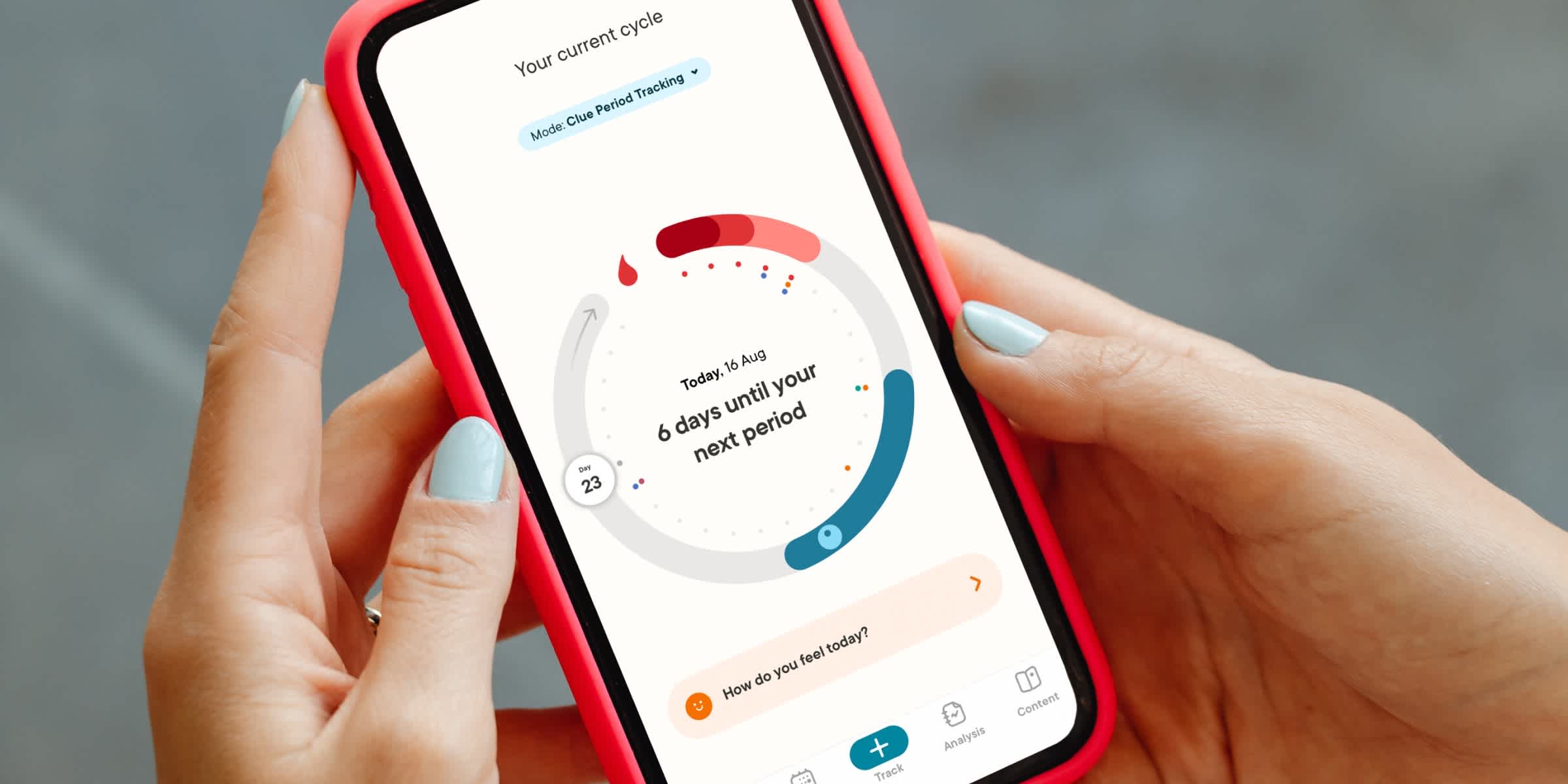 Clue app cycle view