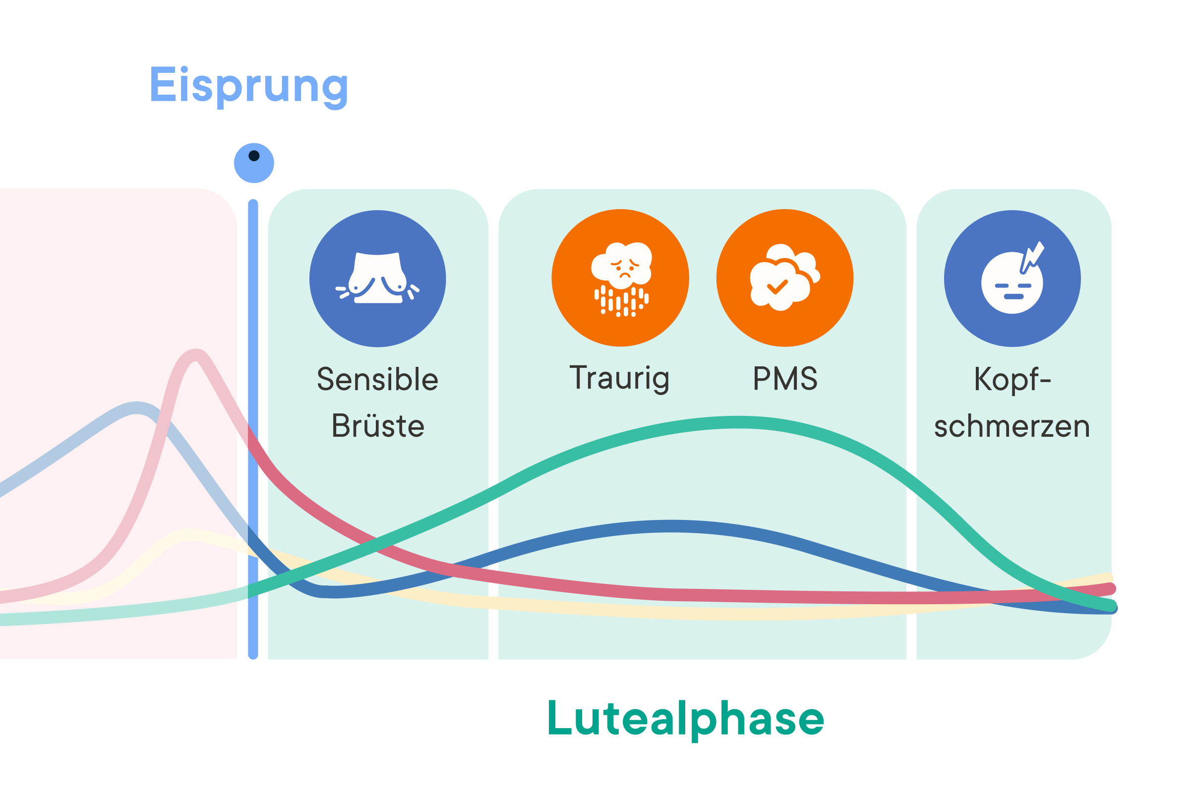 Cycle Phase Insights chart showing hormone levels across the luteal phase with common symptoms like breast tenderness, sadness, PMS, and headaches.