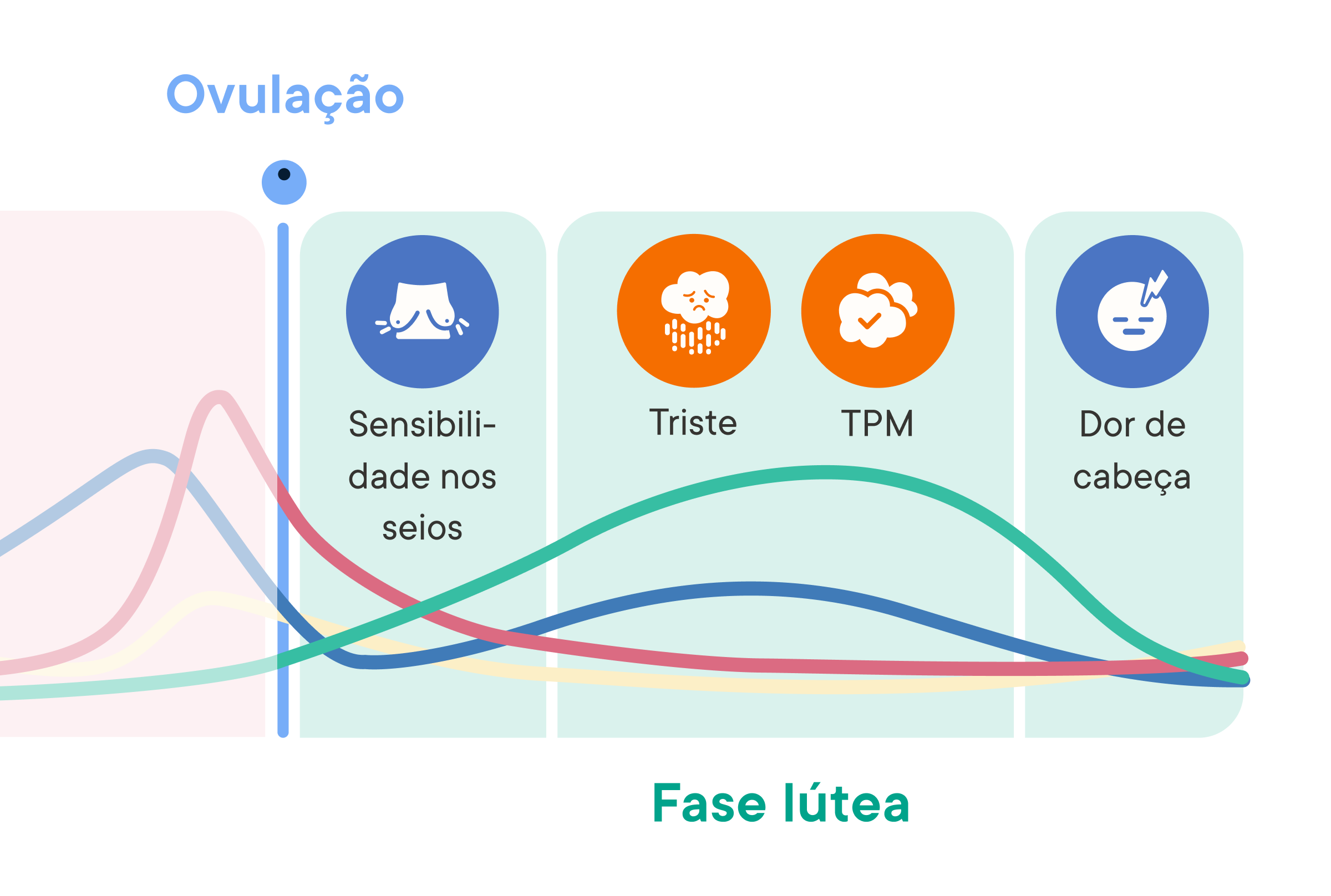 Cycle Phase Insights chart showing hormone levels across the luteal phase with common symptoms like breast tenderness, sadness, PMS, and headaches.