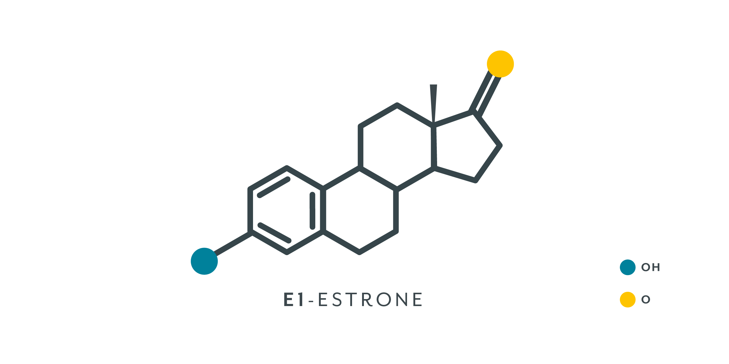 Chemical structure of different forms of estrogen in the body.