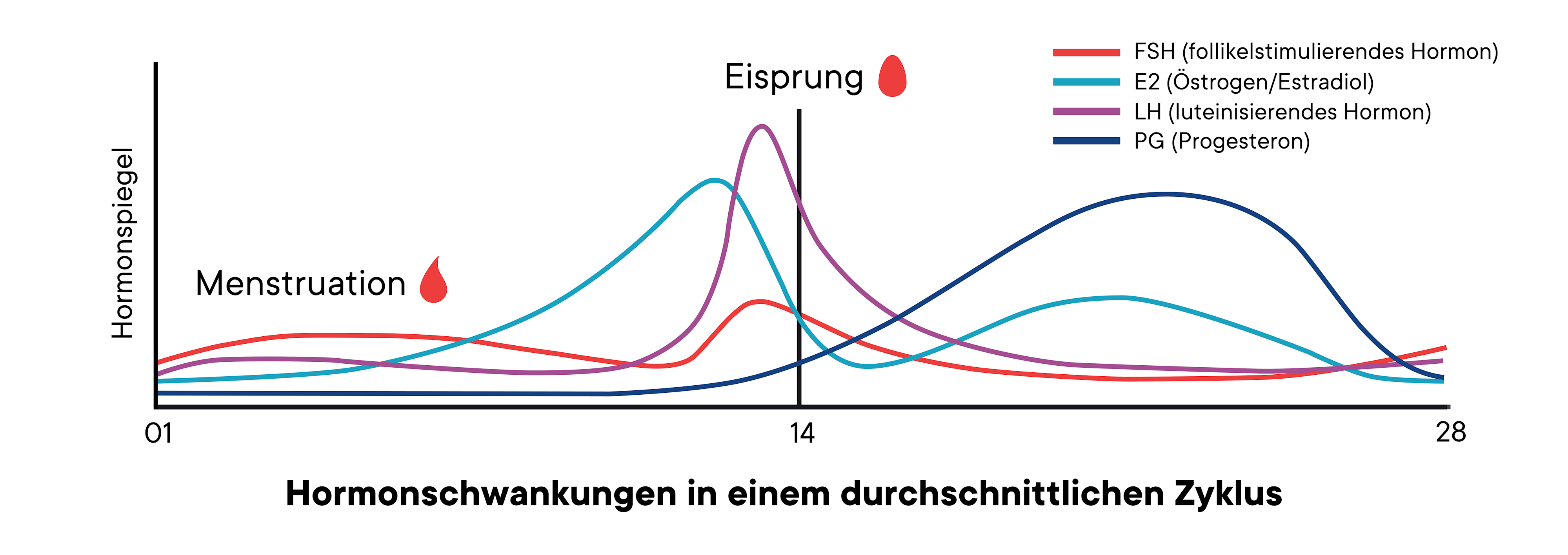Der Eisprung Fragen Und Irrt mer der-eisprung-fragen-und-irrt-mer
