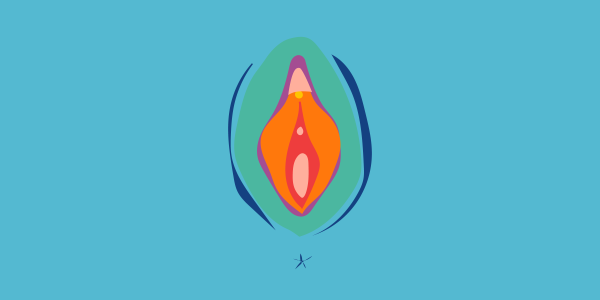 Uma ilustração da vulva e do clitóris