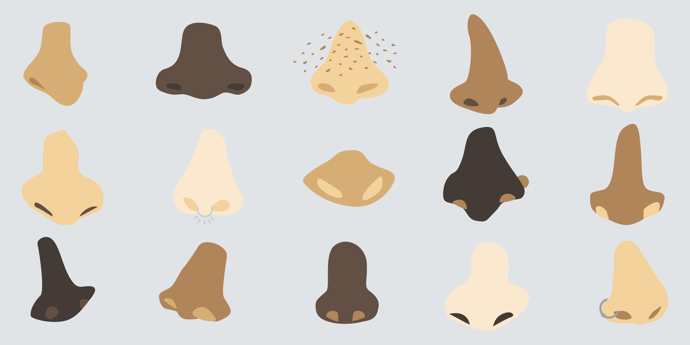 illustration of noses