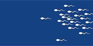 illustrated group of sperms crossing