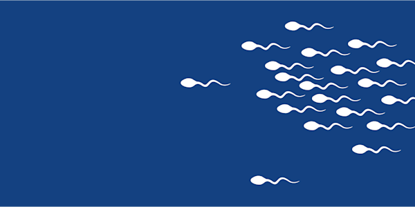 illustrated group of sperms crossing