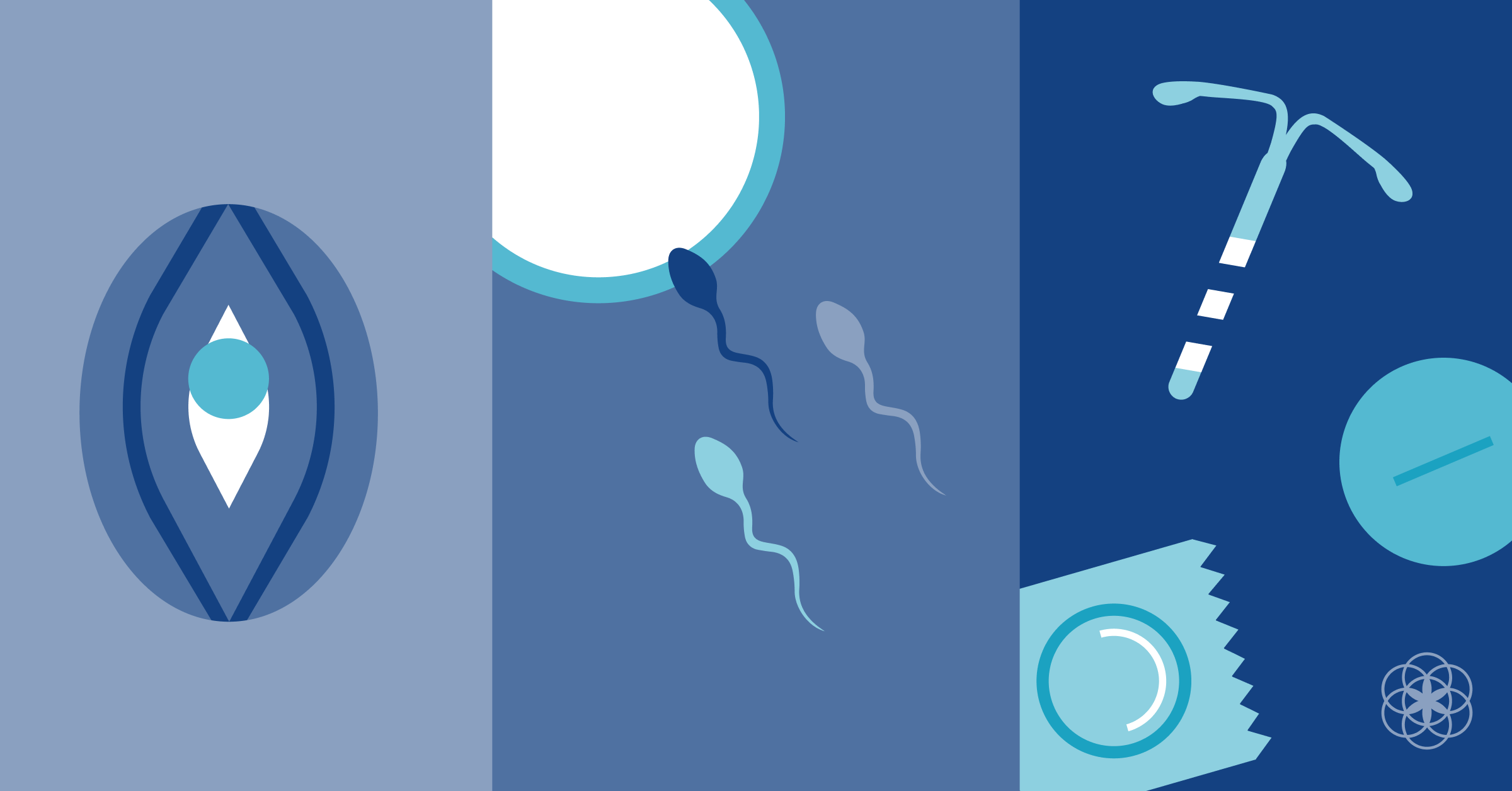 Pós-parto: sexo, fertilidade e contracepção após o parto