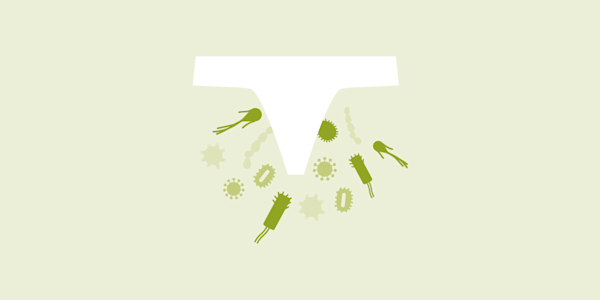 illustration of clean white panties and bacteria moving toward it