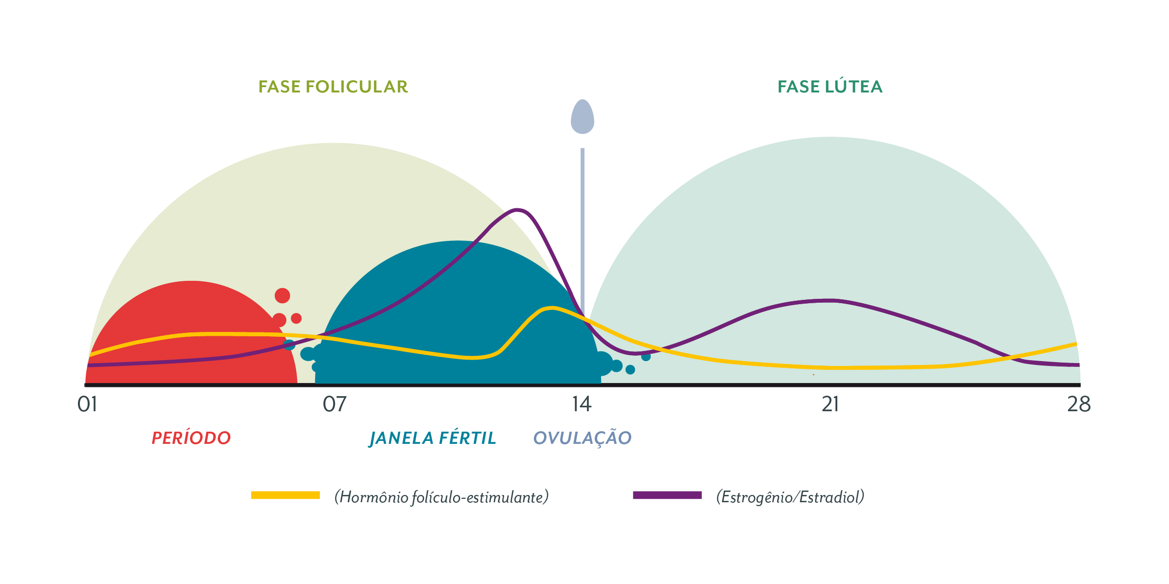 que significa dias fertiles de solfa syllable mujer