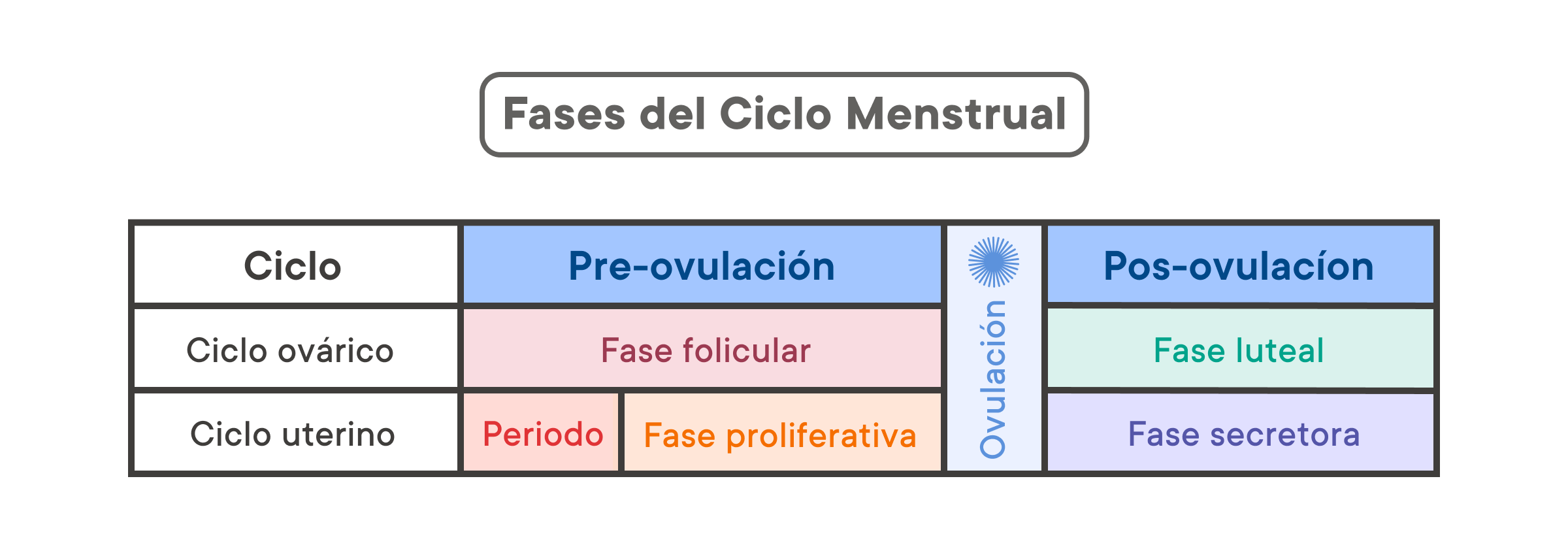 ¿cuál Es La Diferencia Entre Menstruación Y Ciclo