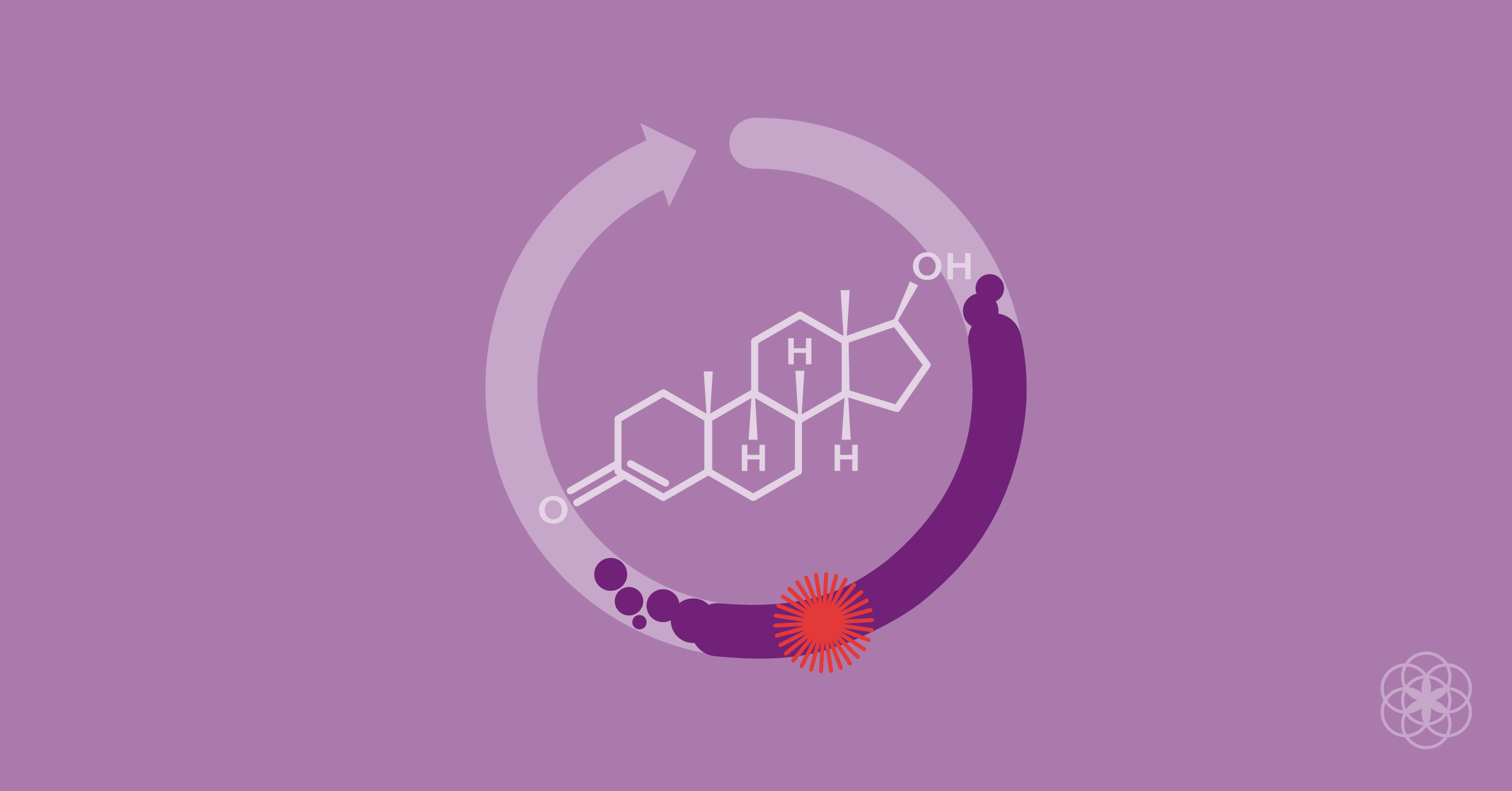 5 Ways To Simplify vente testosterone