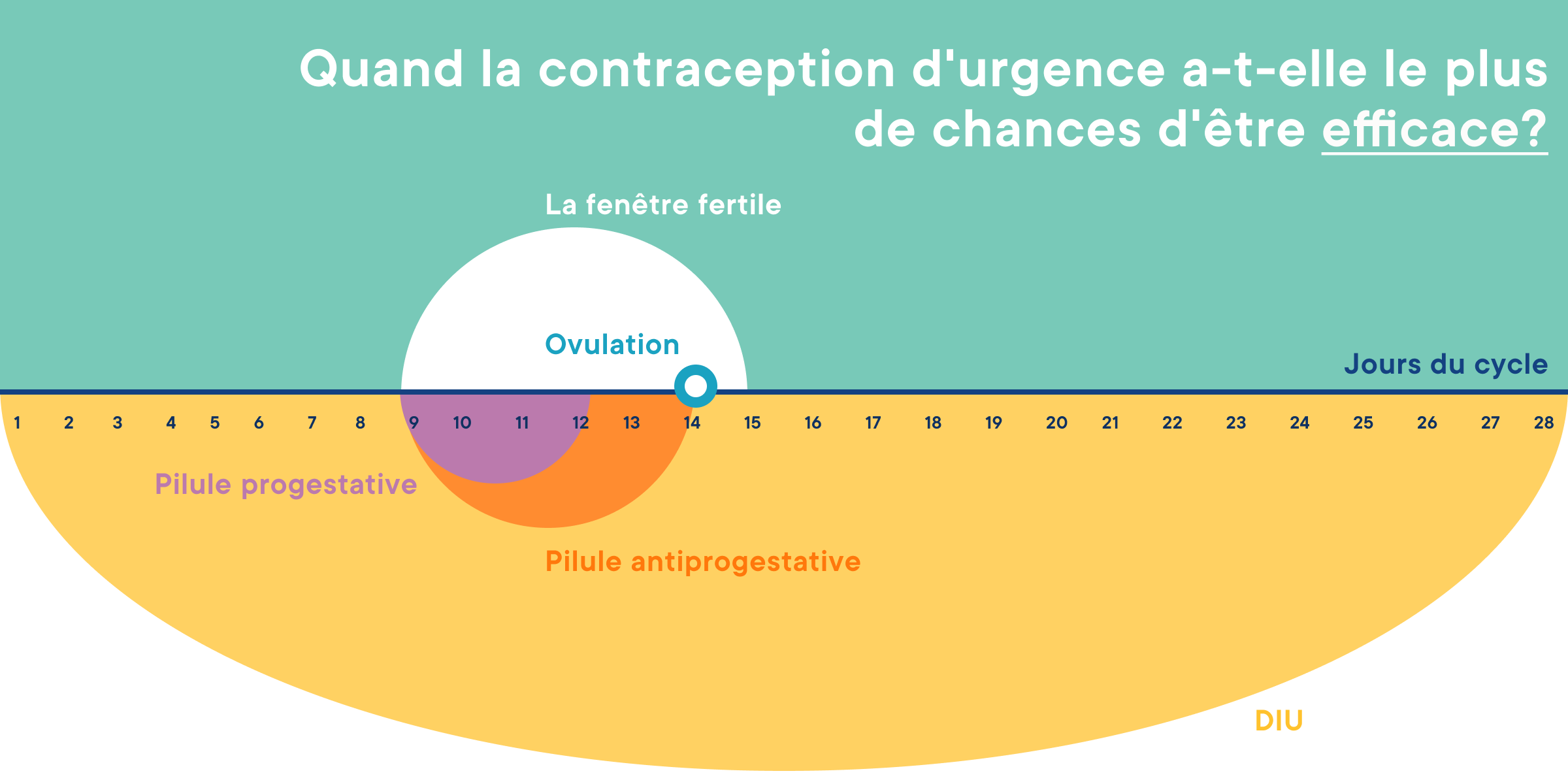 Contraception d'urgence : quand est-elle la plus efficace ?