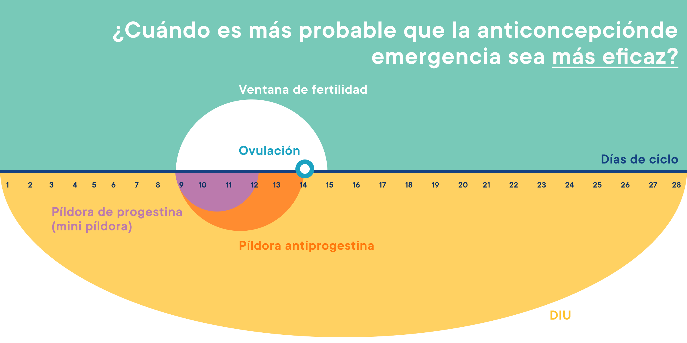 Anticonceptivos De Emergencia: Cómo Funcionan Y Cuáles Son Los Mejores ...