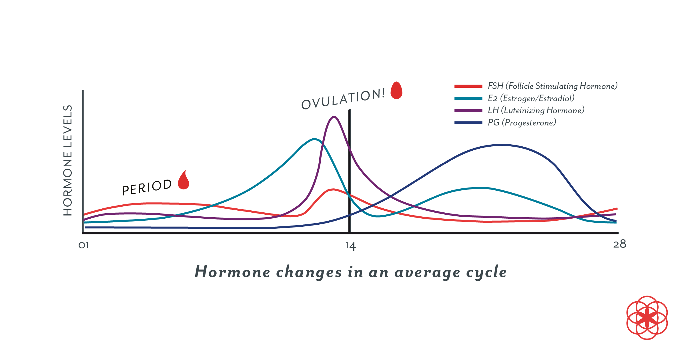 Graph of the hormones changing across the menstrual cycle.