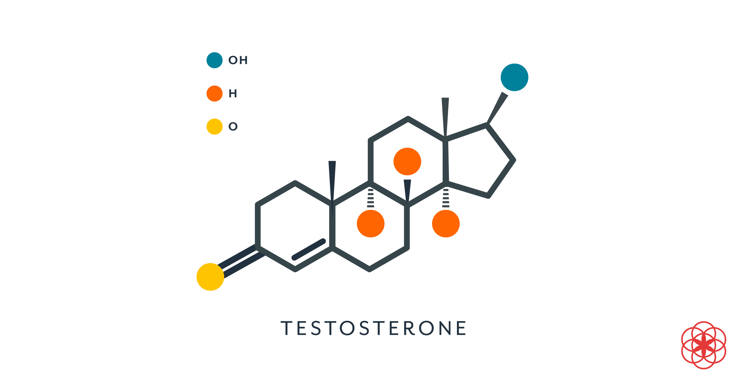 Androgen What Is An Androgen Definition Anti Androgens