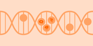 Zoom auf die DNA, wobei sich einige der Clue-Stimmungssymbole in den Zellen befinden. Illustration in den Orangetönen.