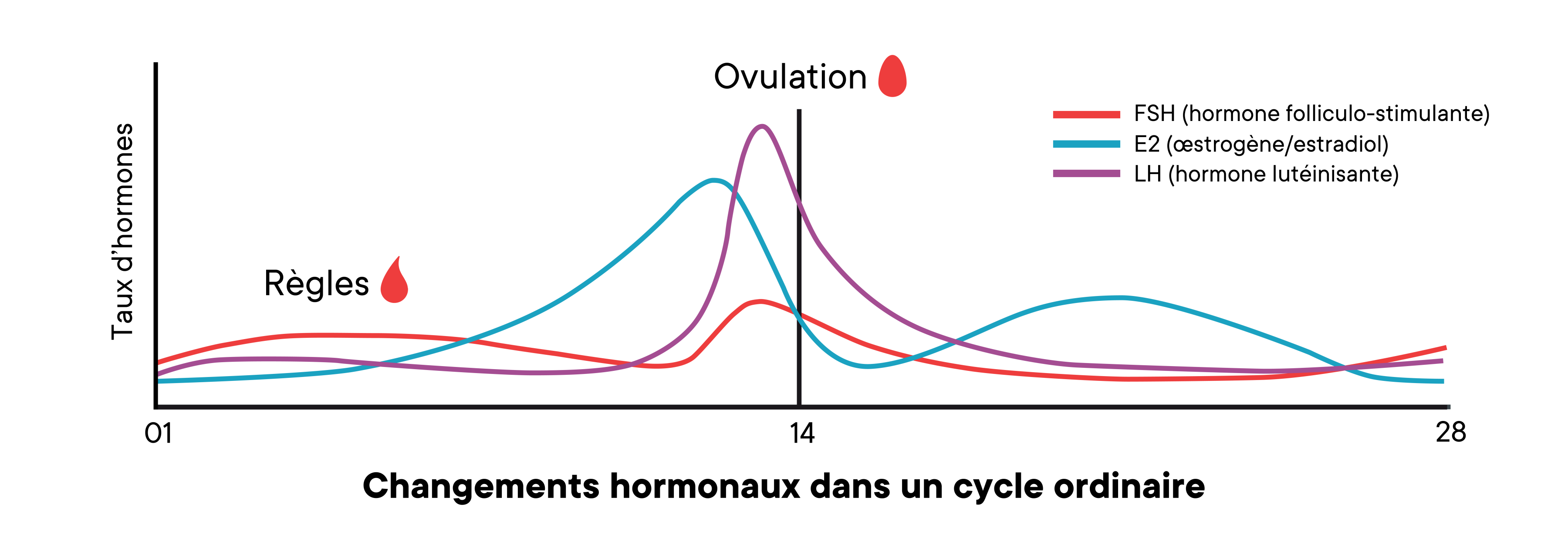 Un graphique montrant les changements des niveaux d'hormones dans un cycle moyen au fil du temps