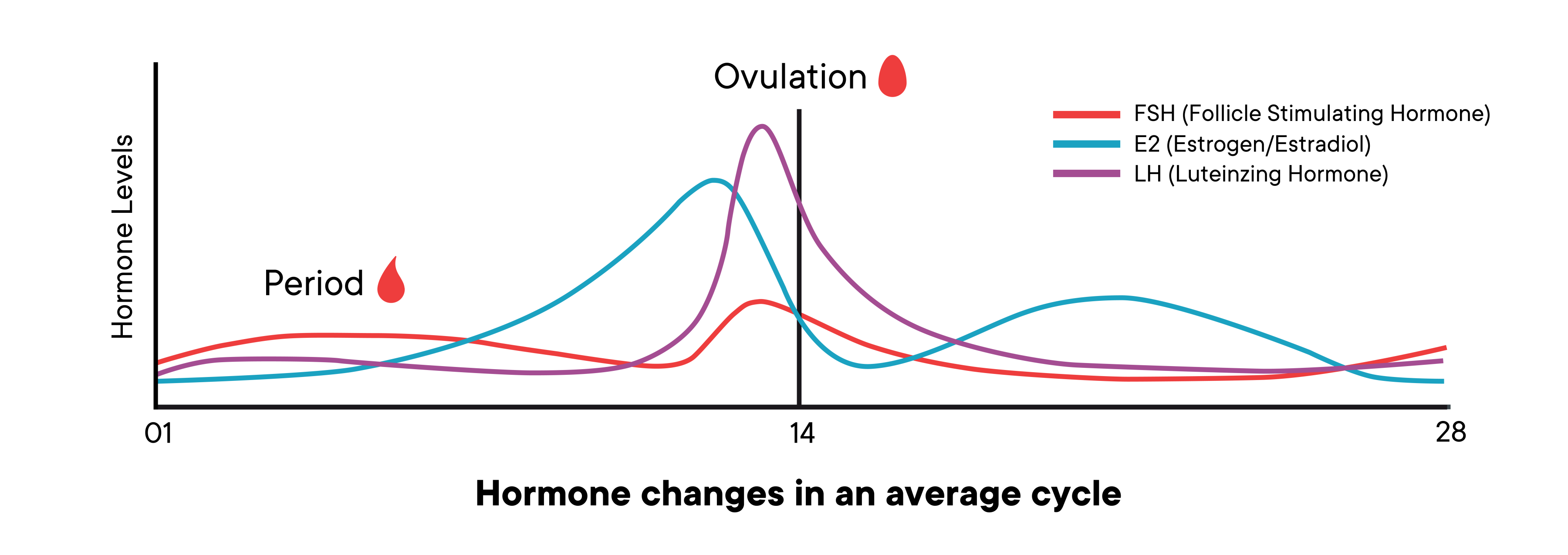 A graph showing the changes of hormone levels in an average cycle over time