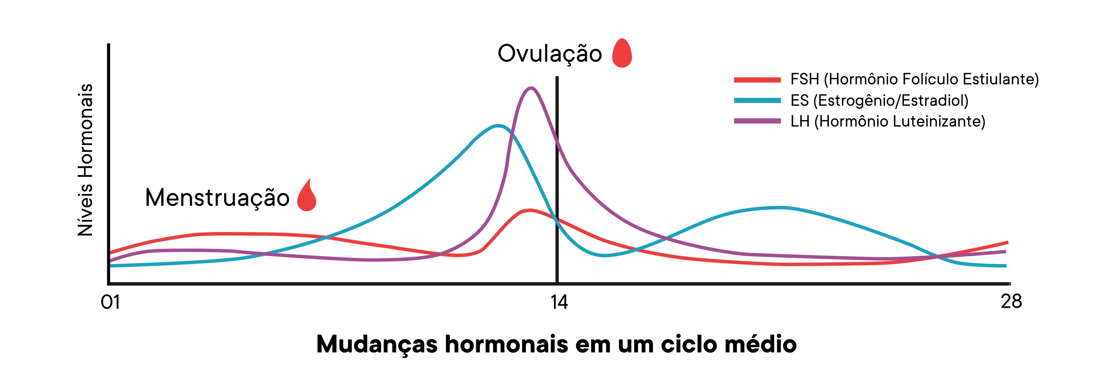 Um gráfico que mostra as mudanças dos níveis de hormônio em um ciclo médio ao longo do tempo