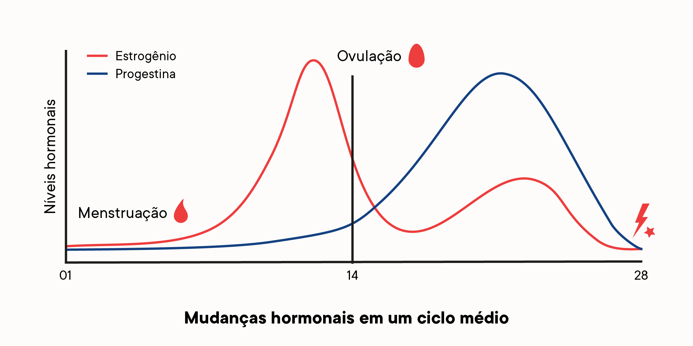 Um gráfico que descreve como os níveis de hormônio mudam ao longo de um ciclo menstrual