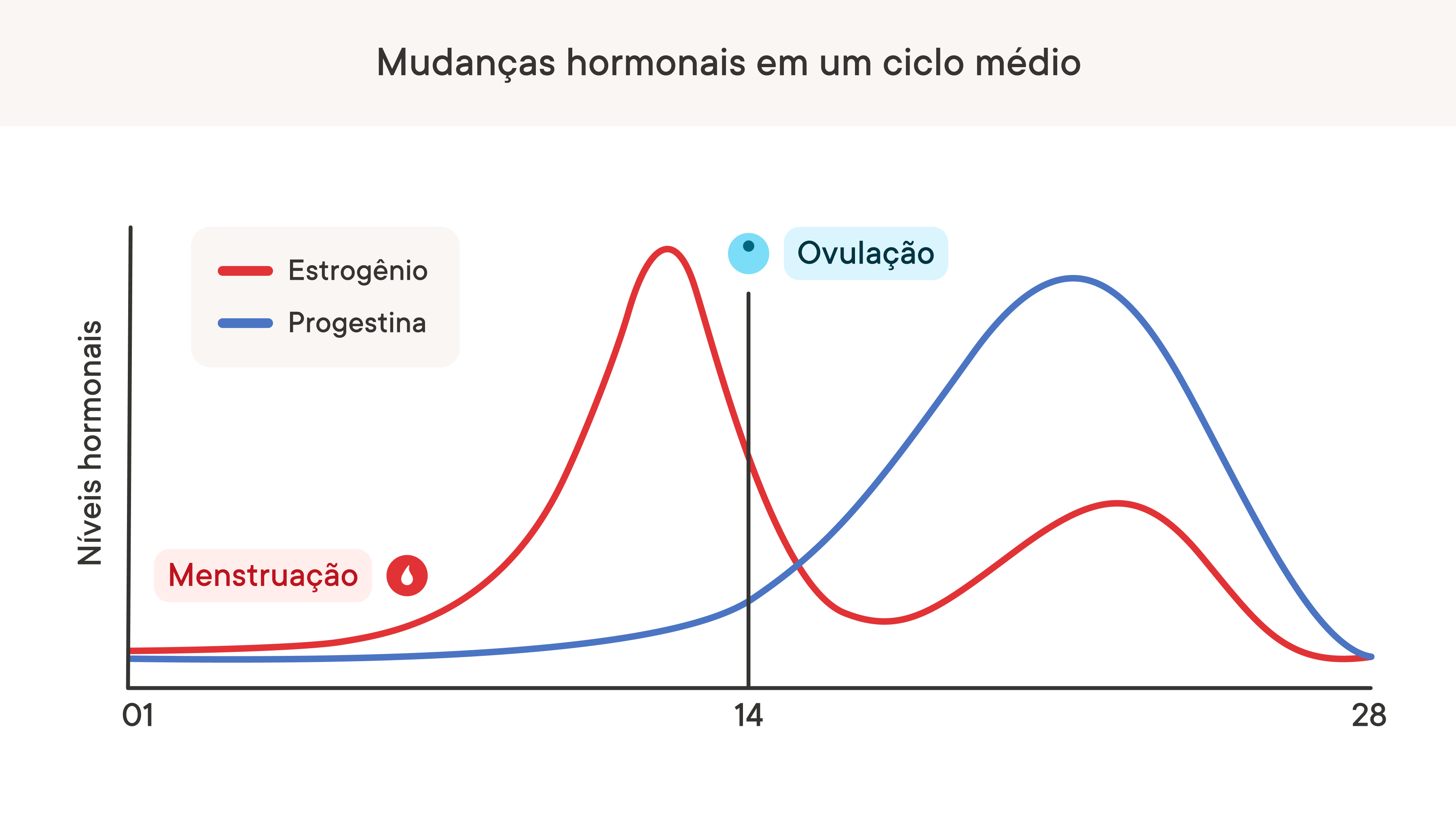 Um gráfico que descreve como os níveis de hormônio mudam ao longo de um ciclo menstrual