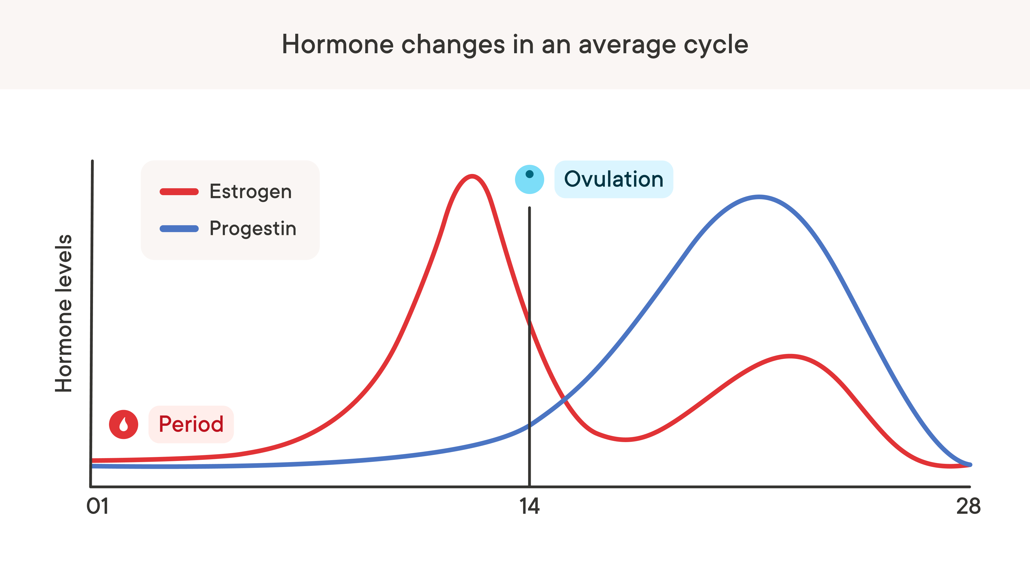 A graph depicting how hormone levels change throughout a menstrual cycle