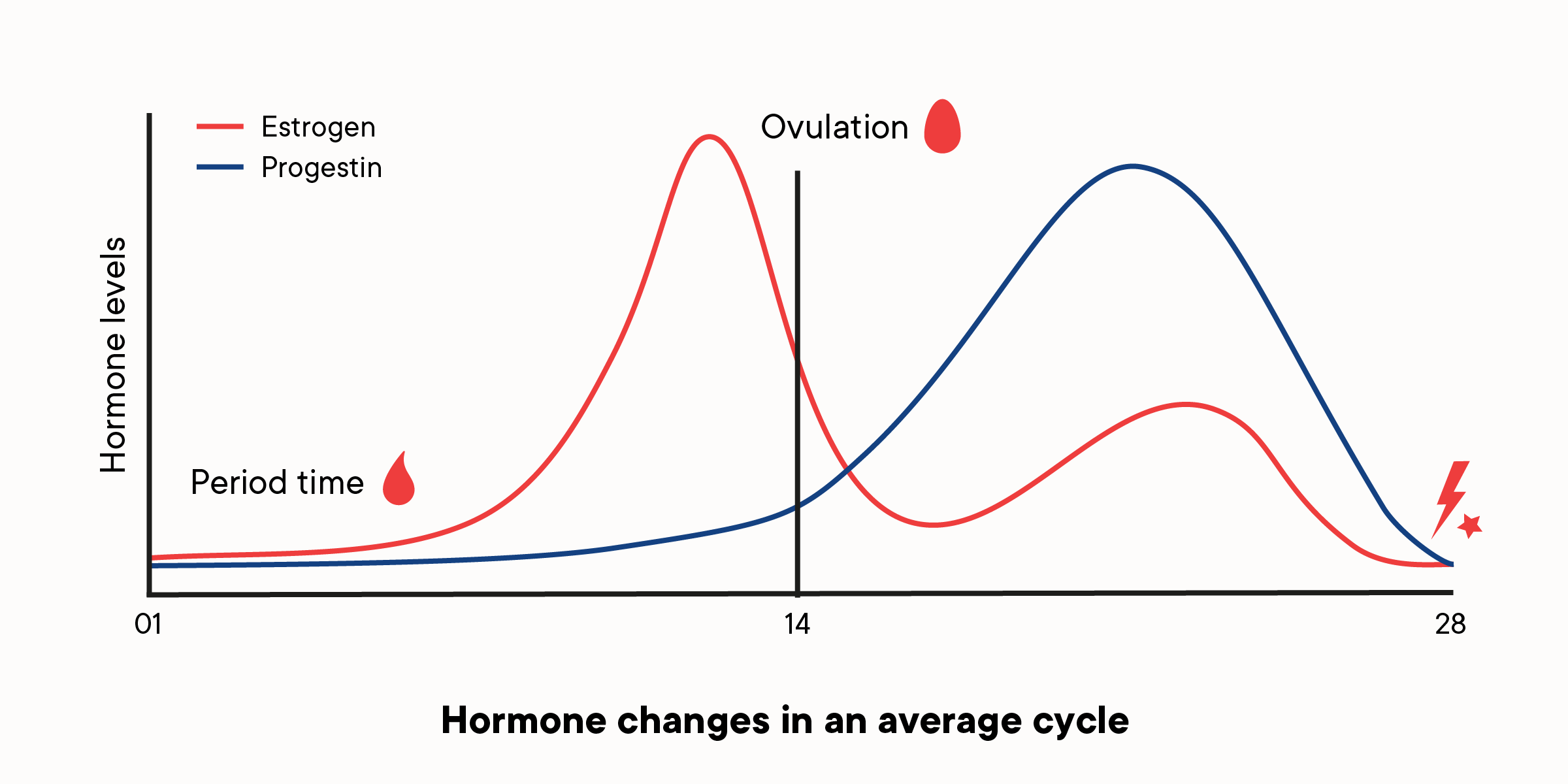 A graph depicting how hormone levels change throughout a menstrual cycle