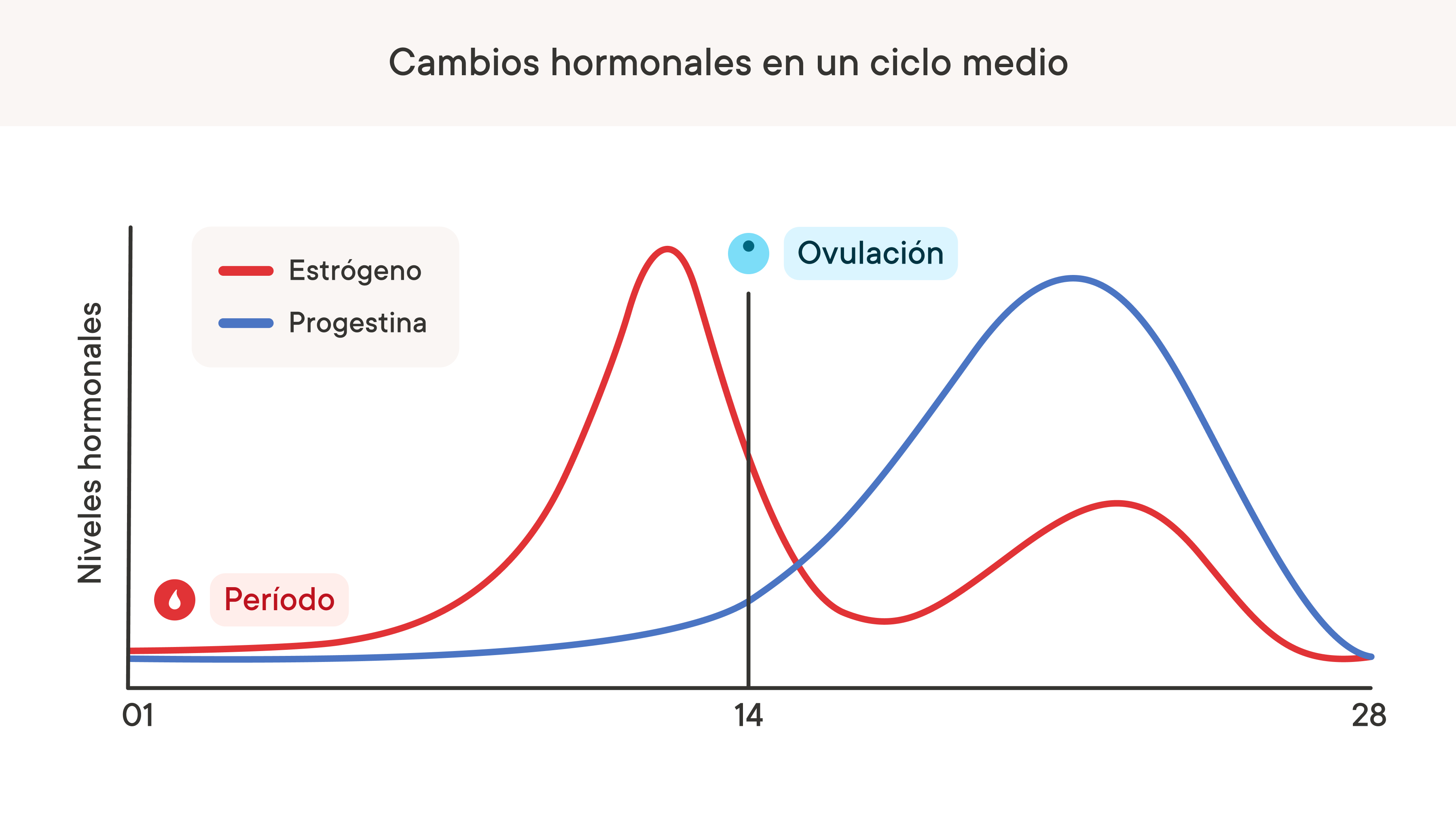 Un gráfico que muestra cómo cambian los niveles hormonales a lo largo de un ciclo menstrual.