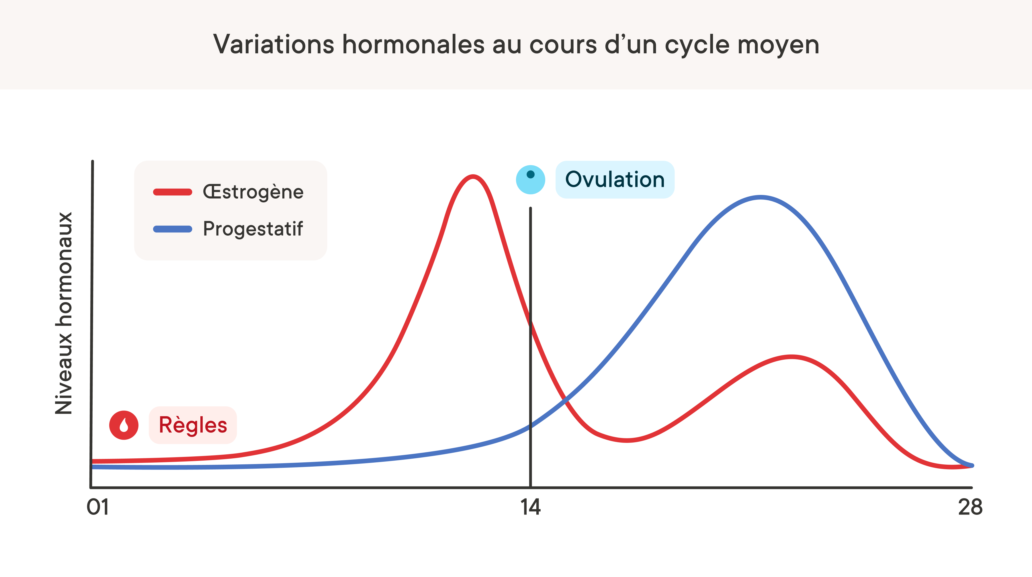 A graph depicting how hormone levels change throughout a menstrual cycle