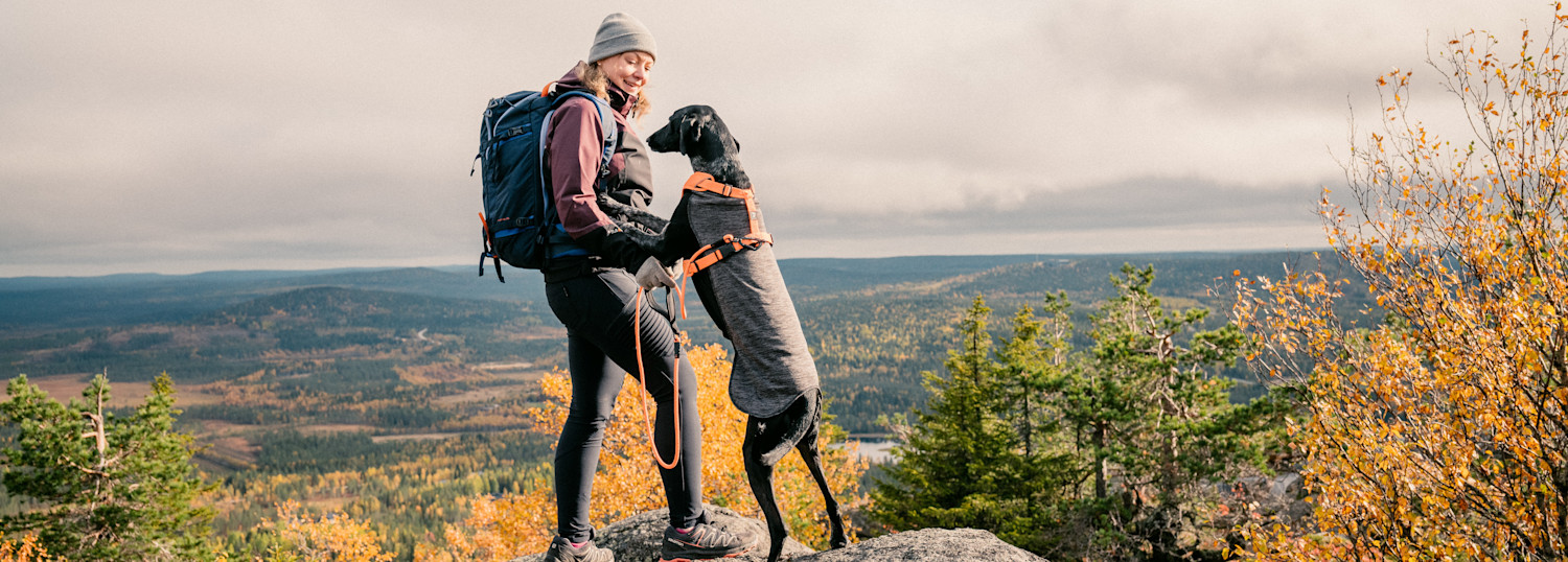 En hund står på baktassarna i naturen med framtassarna i en kvinnas händer