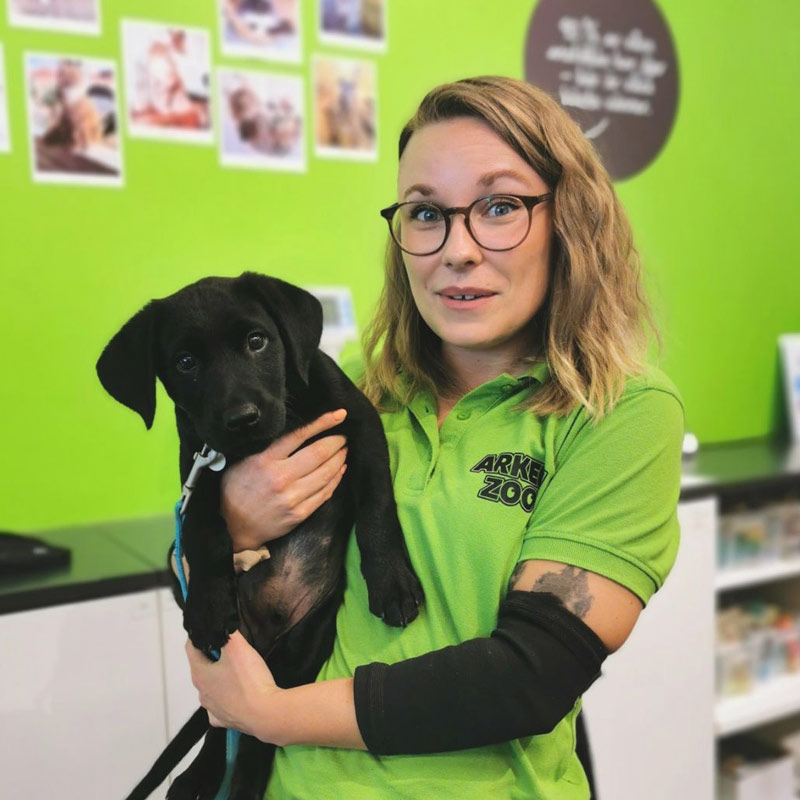 Amanda Sjöhult - Hundinstruktör, certifierad balansbollsinstruktör och hundmassör