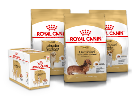 Royal Canin Breed Hundmat